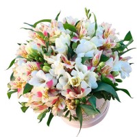 Сборный букет из Альстромерий и Фрезий "Удачный тандем"